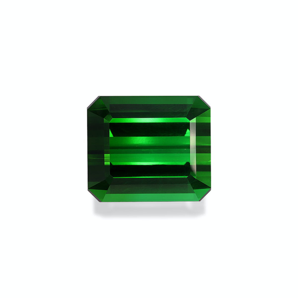 Picture of Vivid Green Tourmaline 79.36ct (TG0843)