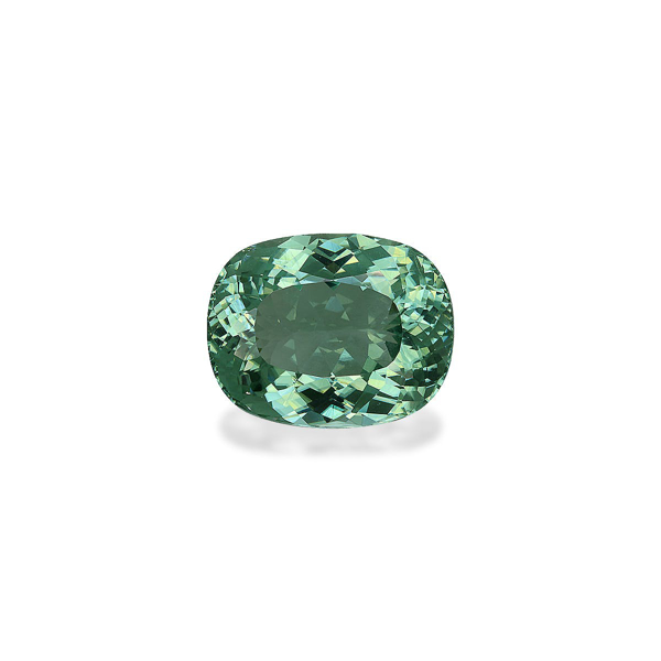Picture of Mist Green Paraiba Tourmaline 20.44ct (PA1384)