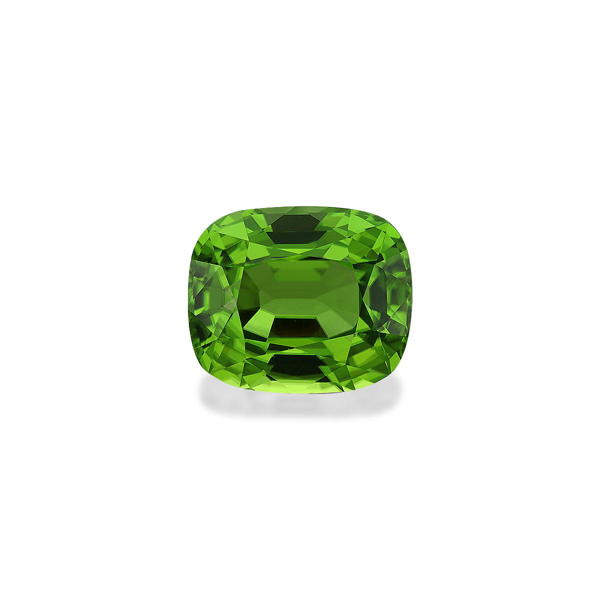 Picture of Vivid Green Peridot 17.49ct (PD0343)