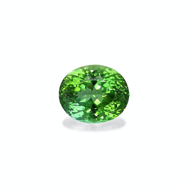 Picture of Vivid Green Tourmaline 46.15ct (TG1682)