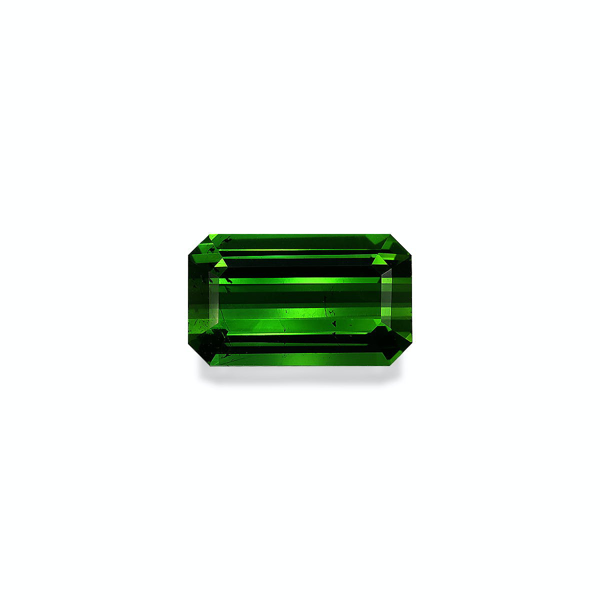 Vivid Green Tourmaline 4.83ct (TG1693)