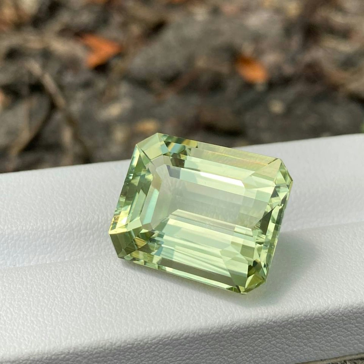 Green Beryl 24.88ct (AQ0232) | Mohra.com