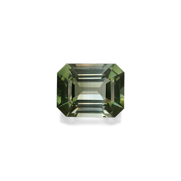 Bi Colour Tourmaline 28.48ct (BT0029)