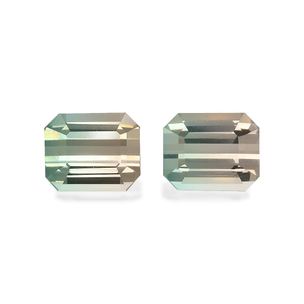 Bi Colour Tourmaline 18.51ct - Pair (BT0060)