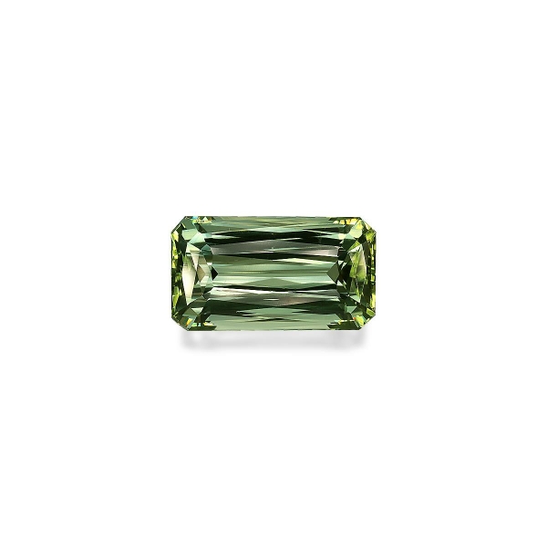 Olive Green Tourmaline 16.62ct (TG0810)