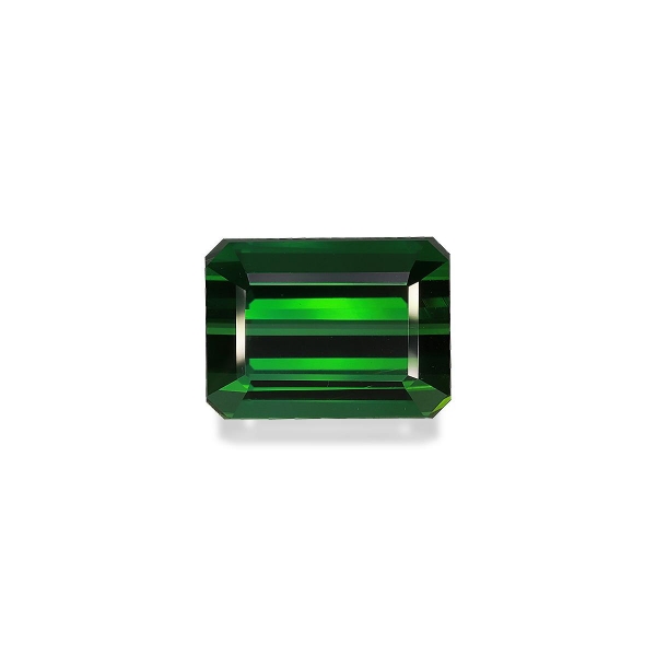 Vivid Green Tourmaline 24.81ct (TG0856)