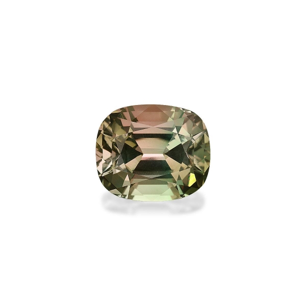Bi Colour Tourmaline 8.55ct - 13x11mm (TG1283)