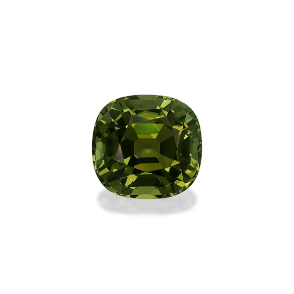Forest Green Cuprian Tourmaline 19.20ct (MZ0225)
