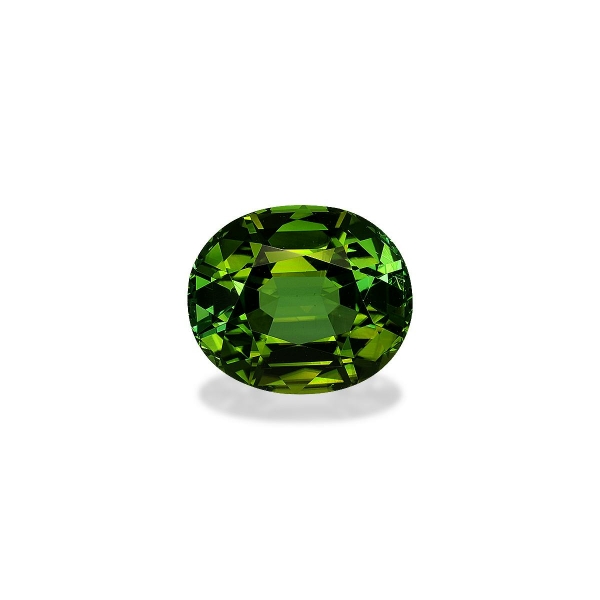 Green Tourmaline 14.20ct (TG1556)