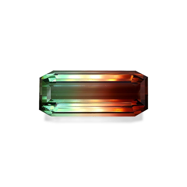 Watermelon Bi Colour Tourmaline 112.38ct (BT0199)