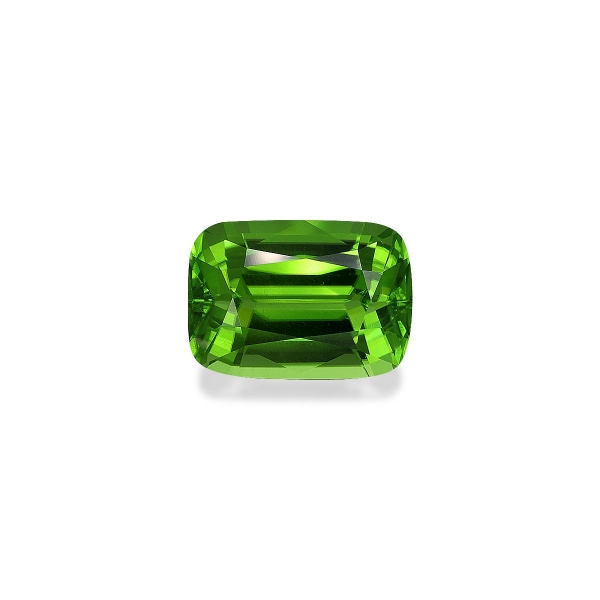Vivid Green Peridot 22.22ct (PD0283)