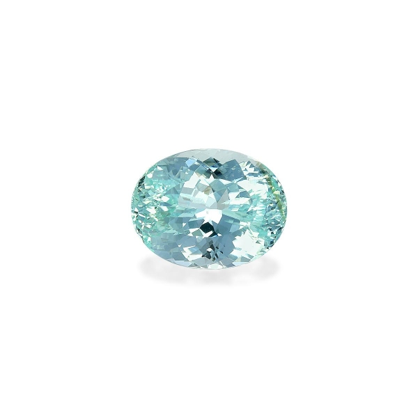 Neon Blue Paraiba Tourmaline 10.60ct (PA1555)