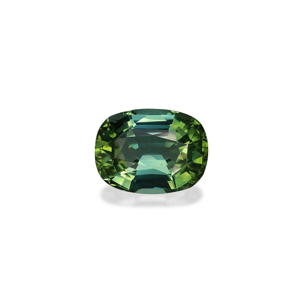 Green Tourmaline 11.77ct (TG0646)