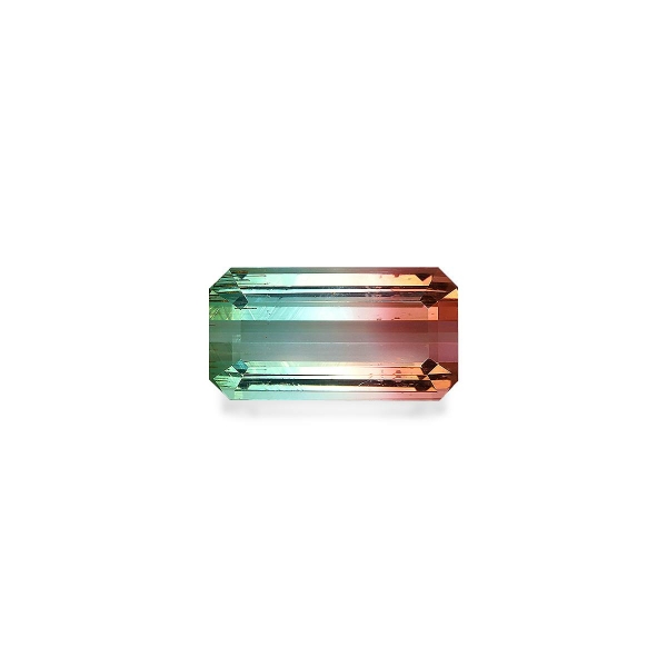Watermelon Bi Colour Tourmaline 8.51ct (BT0204)