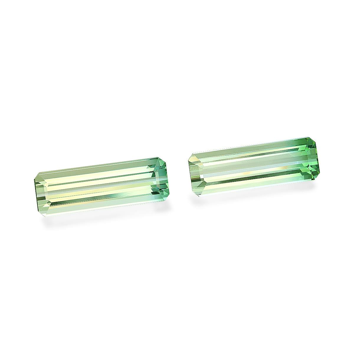 Picture of Bi Colour Tourmaline 23.50ct - Pair (BT0214)