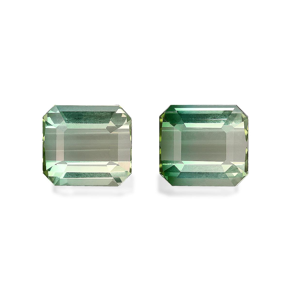 Picture of Bi Colour Tourmaline 14.28ct - Pair (BT0216)