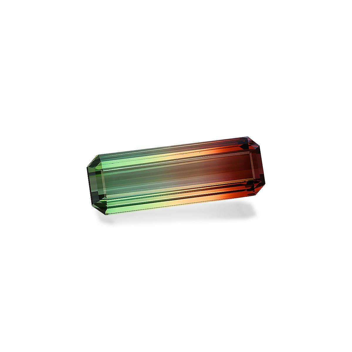Picture of Bi Colour Tourmaline 52.90ct (BT0219)