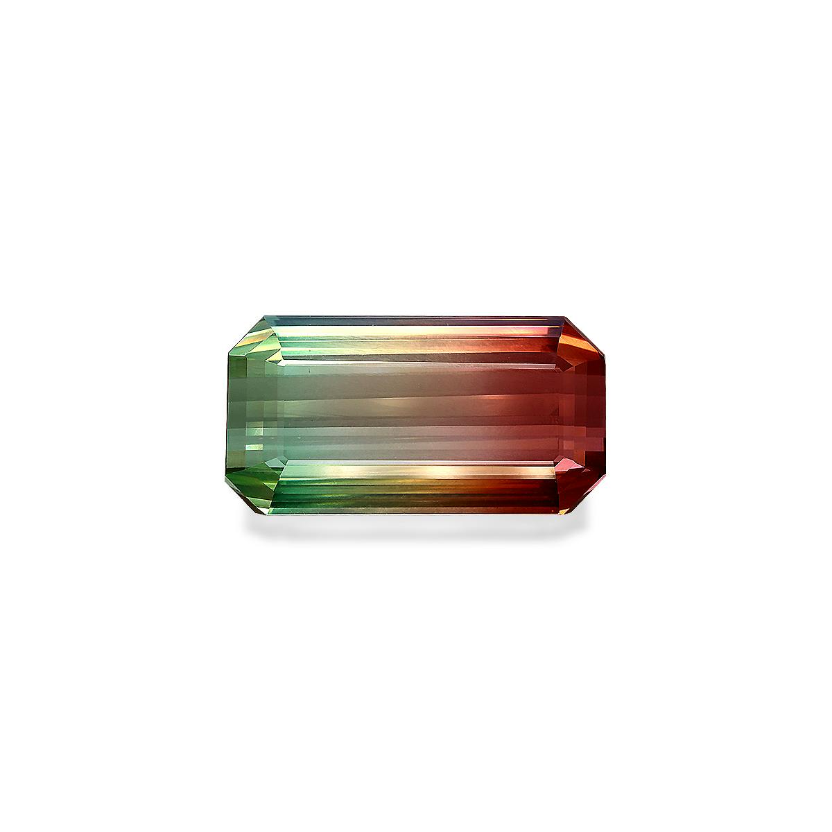 Picture of Mixed Colour Tourmaline 71.02ct (PG0392)
