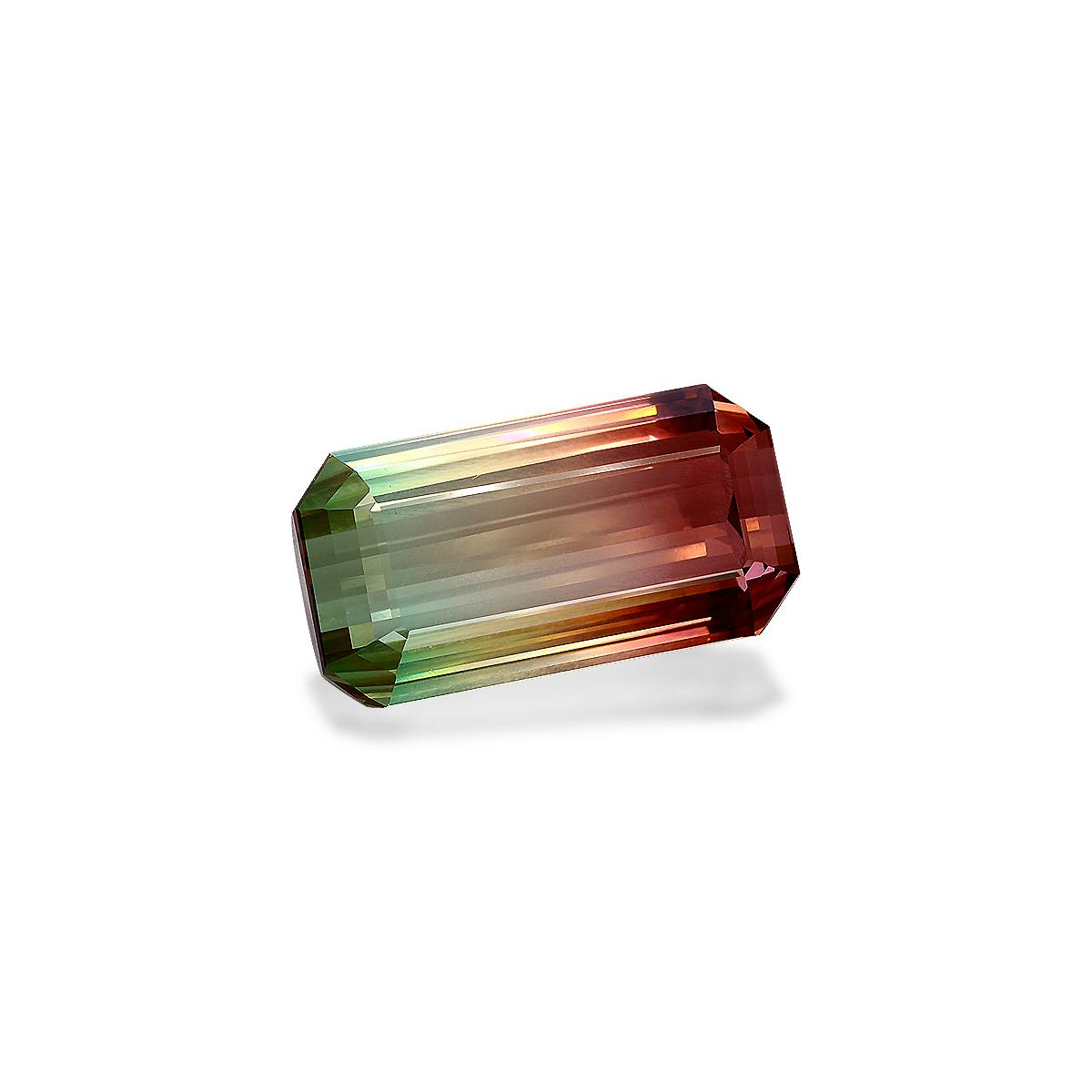 Picture of Mixed Colour Tourmaline 71.02ct (PG0392)