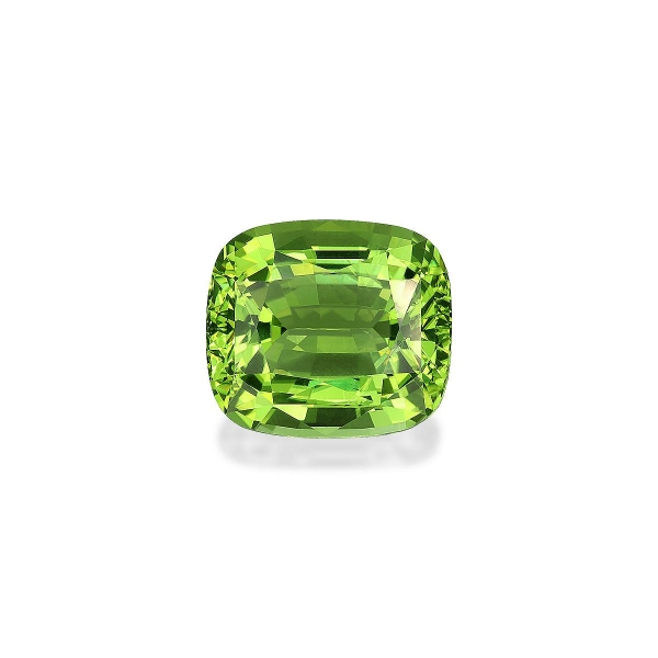 Picture of Lime Green Tourmaline 16.23ct - 16x14mm (TG1828)