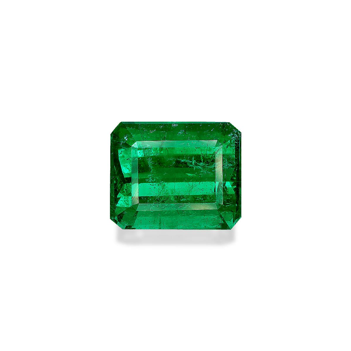 Picture of Vivid Green Panjshir Emerald 15.91ct (PG0594)