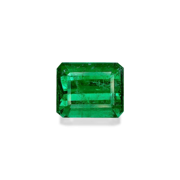 Picture of Vivid Green Panjshir Emerald 15.91ct (PG0594)