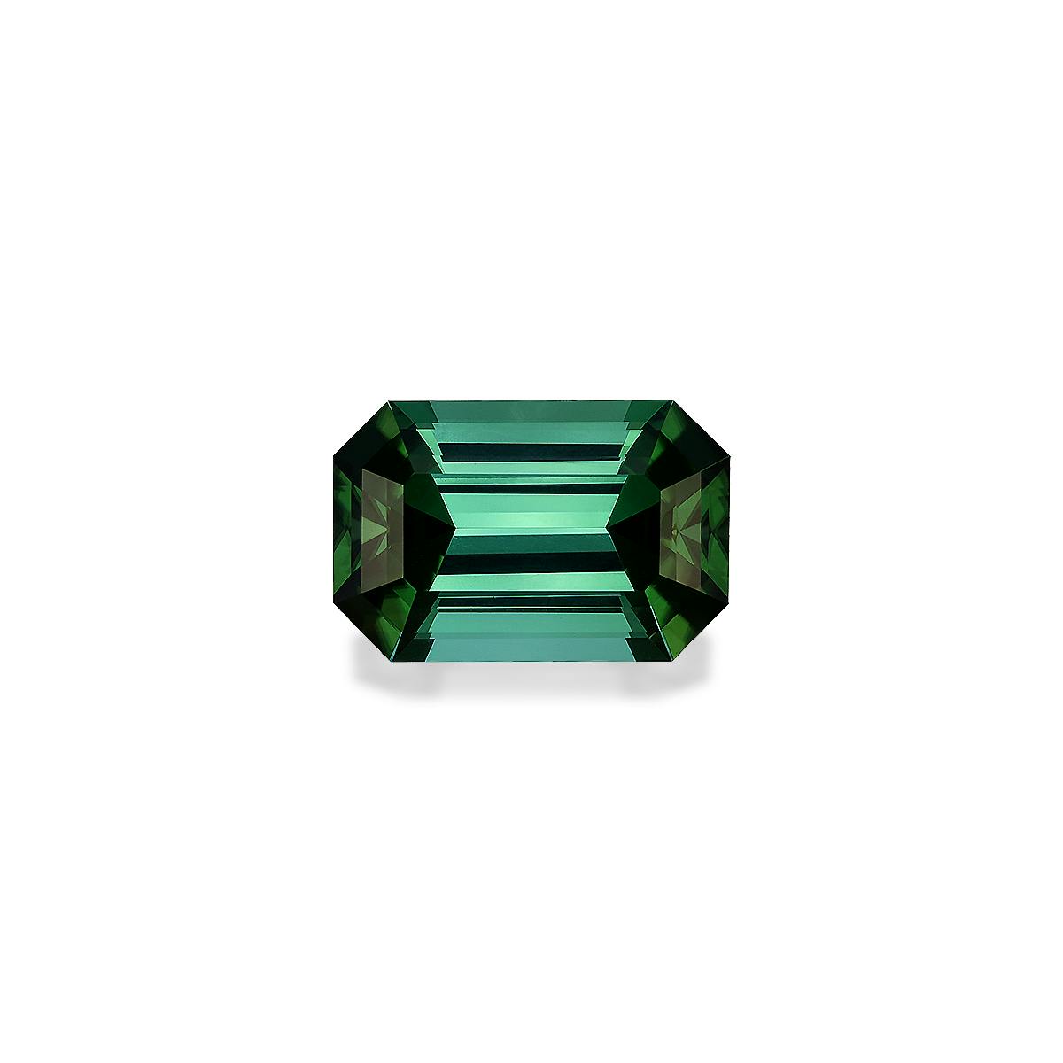 Picture of Seafoam Green Tourmaline 19.91ct (TG1829)
