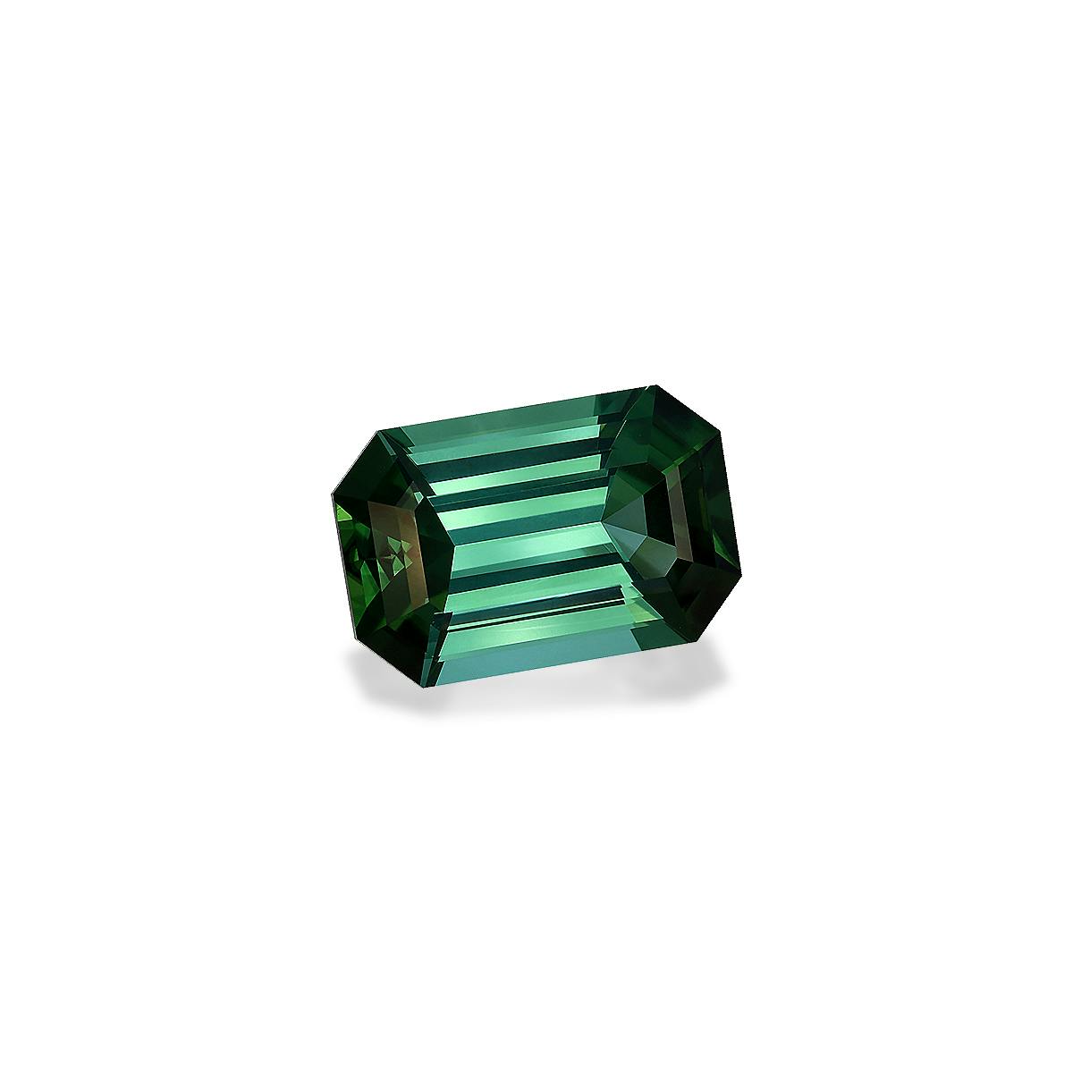 Picture of Seafoam Green Tourmaline 19.91ct (TG1829)
