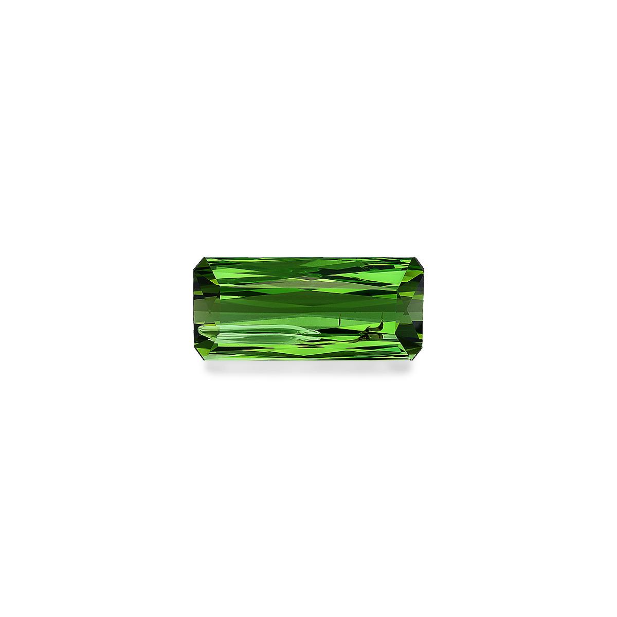 Picture of Green Tourmaline 14.50ct (TG0055)