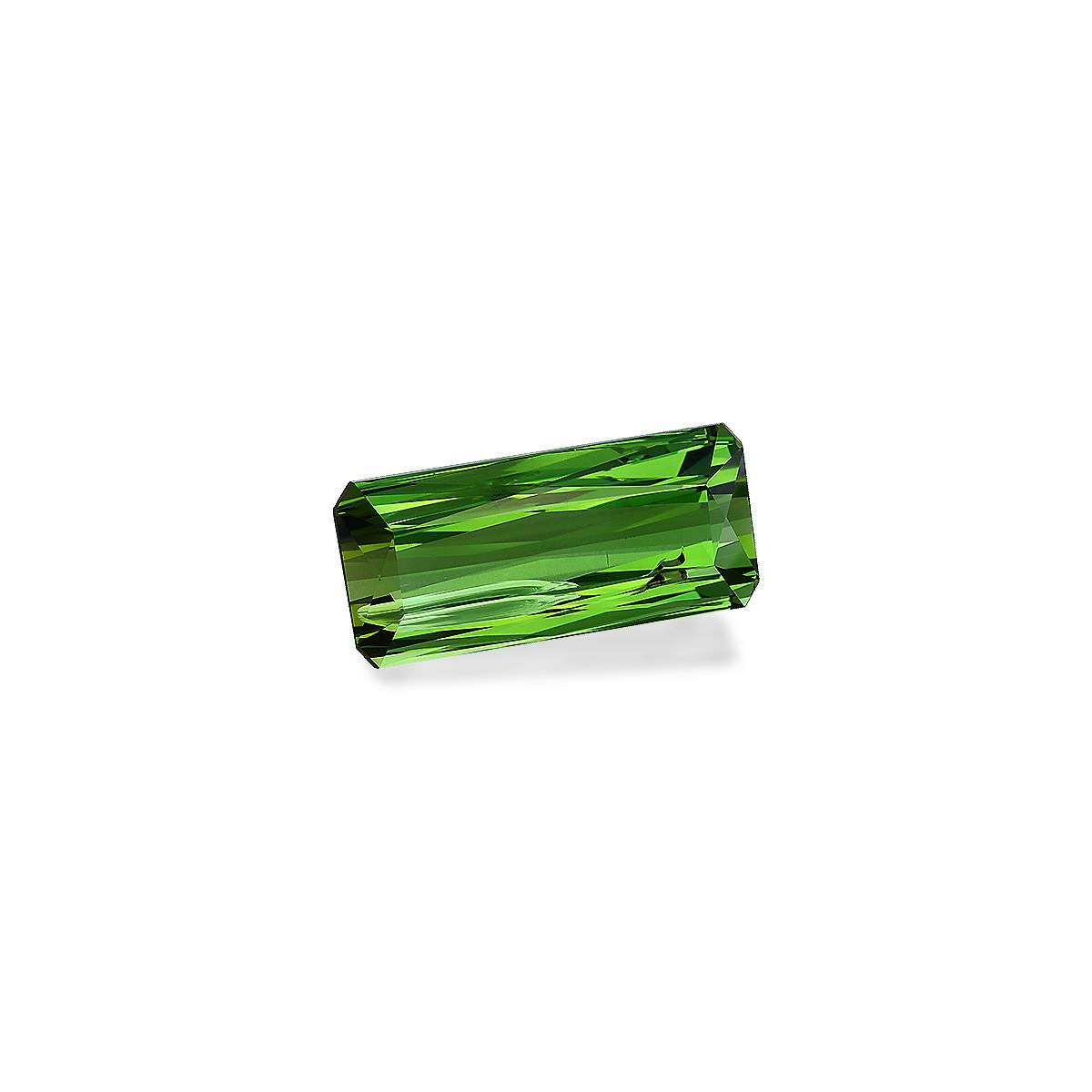 Picture of Green Tourmaline 14.50ct (TG0055)